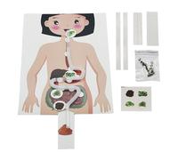 Giocattolo modello di anatomia - Apprendimento pratico per il divertimento e la scienza, set educativo fai da te, design colorato del corpo umano, parti interattive + attività di assemblaggio