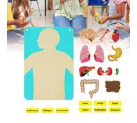 Giocattolo Montessori in feltro per insegnare le parti del corpo per bambini