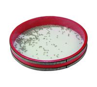 Giocattolo Musicale Reig Tamburo Ø 28 cm Plastica 28 cm