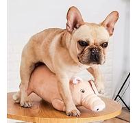 Giocattolo per Dormire per Sollievo Dall'ansia del Cane, Giocattolo per L'estro in Peluche per Cani Maschi, Compagno di Giochi per Cani per Bulldog Francese,50 * 25cm,50 * 25 Cm,Picturesque234