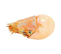 Giocattolo Per La Creatura Oceanica Giocattoli Di Creature Marine