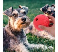 Giocattolo per l'erogazione di cibo con palla per cani da compagnia. Giocattolo
