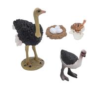 Giocattolo Realistico per Bambini, Ciclo di Vita dello Struzzo, in PVC, Sicuro e Robusto, Giocattolo Realistico con di Struzzo, Ciclo di Crescita degli Animali, Migliora