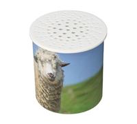 Giocattolo Rumoroso di Pecora, Giocattolo Rumoroso di Capra per Bambino, Imitazione e Apprendimento del Suono degli Animali, con Scherzo Divertente, per la Coordinazione
