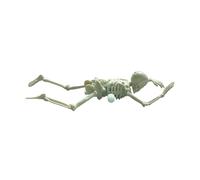 Giocattolo Scheletro - Figura del di Halloween, Orrore Arrotolato Scheletro | Giocattoli mobili per L'Ufficio a casa Camera da Letto del Soggiorno Armadio per Feste da Ufficio Adulti