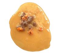 Giocattolo scherzo vomito, giocattolo vomito falso - Vomito falso realistico - Giocattolo del per feste di Halloween e scherzi, strumenti dimostrativi educativi, oggetti di scena per film e TV