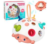Giocattolo sensoriale riccio 4 in 1