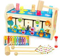 Giochi Bambini 1 Anno 4 in 1 Giochi Montessori 1 Anno Con Giochi Legno Xilofono