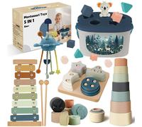 Giochi Bambini 6 Mesi in su 5 in 1 Giochi Montessori Giochi Sensoriali per