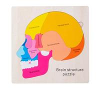 Giochi di anatomia per bambini, parti del corpo puzzle - Modello del corpo umano per bambini - Scheletro dettagliato interattivo educativo per lo sviluppo cognitivo Esperimenti pratici