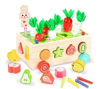 Giochi Montessori Giocattoli a partire da 3 4 5 anni, Giochi Magnetici in Legno con Puzzle, raccolta di carote, Giochi di memoria, smistamento, Giocattolo Educativo per Bambini Ragazze Ragazzi