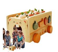 Giochi per la Classificazione delle Forme Giochi Educativi in Legno con