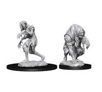 Giochi WizKids Pathfinder Deep Cuts Miniature non verniciate Annis Hag e Green H