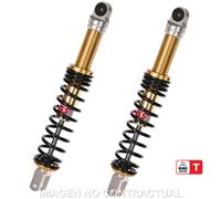 Gioco Ammortizzatori Posteriori YSS Gas Eco Line HONDA Pantheon Per Moto