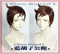Gioco anime Spada/Scudo Cosplay Eroe Marnie Parrucca Fibra ad alta temperatura Capelli neri con due code di cavallo + cappuccio per capelli gratuito Marrone
