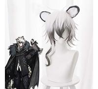 Gioco Arknights Parrucche Cosplay SilverAsh Parrucca cosplay Resistente al calore Parrucca sintetica Capelli Festa di Halloween Parrucca cosplay anime