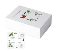Gioco di Ciclo Di Vita Educativo - Set Di Vassoi Di Giocattoli Di Puzzle Riutilizzabili | Strumento di apprendimento delle Scienze Prescolari, Modello Di Biologia per le Attività in Classe, Affic
