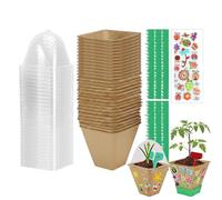 Gioco Di Giardinaggio per Bambini: Gioco Di Giocattoli per Coltivare Fiori, Gioco Di Giardinaggio Educativo per Piantare, Scienza Interattiva Di Apprendimento Della Natura | Attività Artesan