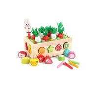 Gioco di pesca magnetico in legno Montessori per bambini dai 2 ai 4 anni, giocattolo educativo per lo sviluppo della motricità fine.