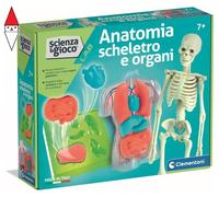 Clementoni Scienza e Gioco Lab - Anatomia Scheletro e Organi, Gioco Scientifico per Bambini 7+ Anni per Scoprire Il Corpo Umano, Made in Italy, Lingua Italiana, 19414