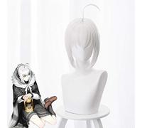 Gioco Fate Apocrypha Parrucche Cosplay Reines El Melloi Archisorte Cosplay Parrucca sintetica resistente al calore Capelli Festa di Halloween Parrucche FGO