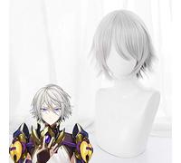Gioco Fate Grande ordine Parrucche Cosplay Principe di Lanling Cosplay Parrucca grigia Parrucca sintetica resistente al calore Festa di Carnevale di Halloween
