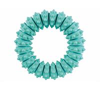 GIOCO PER ANIMALI TRIXIE Denta Fun Ring aroma menta 12 cm