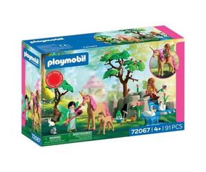 Gioco Playmobil 72067 Journée avec les Fées 91 pezzi