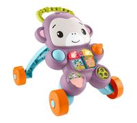 SCIMMIETTA PRIMI PASSI FISHER PRICE