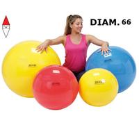 GIOCO SPORTIVO LEDRAPLASTIC PALLA GINNASTICA 66