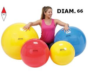 GIOCO SPORTIVO LEDRAPLASTIC PALLA GINNASTICA 66