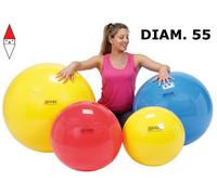 GIOCO SPORTIVO LEDRAPLASTIC PALLONE GINNASTICA 55