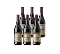 GIORDANO VINI Barbaresco DOCG 2021 - Barbaresco Vino Rosso Elegante e Raffinato, Ideale per Cene Importanti, Piemonte, 13,5% vol. Box da 6 Bottiglie da 75 cl