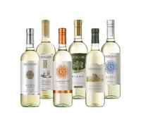 Giordano Vini - Set Vino 6 Bottiglie 4500ml, Vini DOC e IGT Italiani, Vino Bianco Pregiato Da Regalare, Confezioni Vino Degustazione Italia Bianchi d’Eccellenza