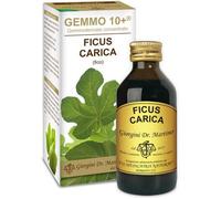 giorgini Ficus carica gemmo 10+100ml