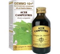 ACERO CAMP 100ML ANALCO GEM10+
