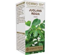 giorgini Gemmo 10+ noce 100 ml liquido analcolico