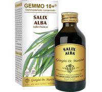 giorgini Gemmo 10+ salice bianco 100 ml liquido analcolico