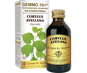 giorgini Nocciolo 100ml analco gem 10+