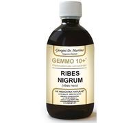 giorgini Ribes nero gemme 10+500ml gmg