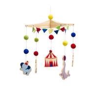 Giostrina per cameretta dei bambini - Giocattolo musicale da appendere al circo con animali, attività sensoriale per la consapevolezza del bambino, decorazione colorata e divertente, accessorio per