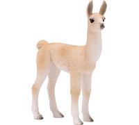 Giovane Lama Mojo