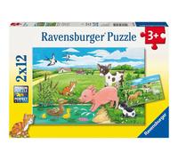 Giovani animali in campagna, 2x. 1 St