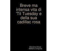 Giovanni Croce Breve ma intensa vita di Til Tuesday e della sua cadi (Tascabile)