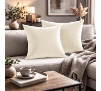 Giovanni Dolcinotti MADE IN ITALY Set 2 Federe Cuscini Divano - 40x40 - Velluto - Ghiaccio - Copricuscini Decorativi per Divano Soggiorno Camera da Letto - Cerniera Zip - Modello Monroe