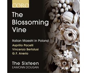 Giovanni Francesco Anerio The Blossoming Vine (CD) Album
