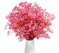 Gipizi Rosa Gypsophila Essiccata, 43cm Naturale Fiori Secchi stabilizzata oltre 3000 Boccioli, Gypsophila Secchi per Matrimonio, Decorazione Della Casa, fai da te e Partito (Rosa)