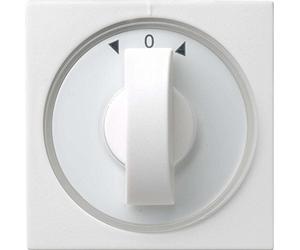 Gira, 066627, Coprire tempo Knebel e il Blind System 55, puro bianco opaco