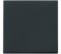 Gira 3290005 bilanciere di controllo, nero opaco