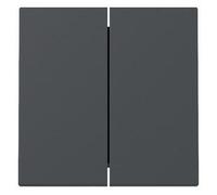 Gira 329528 - Altalena a 2 scomparti, colore: Antracite